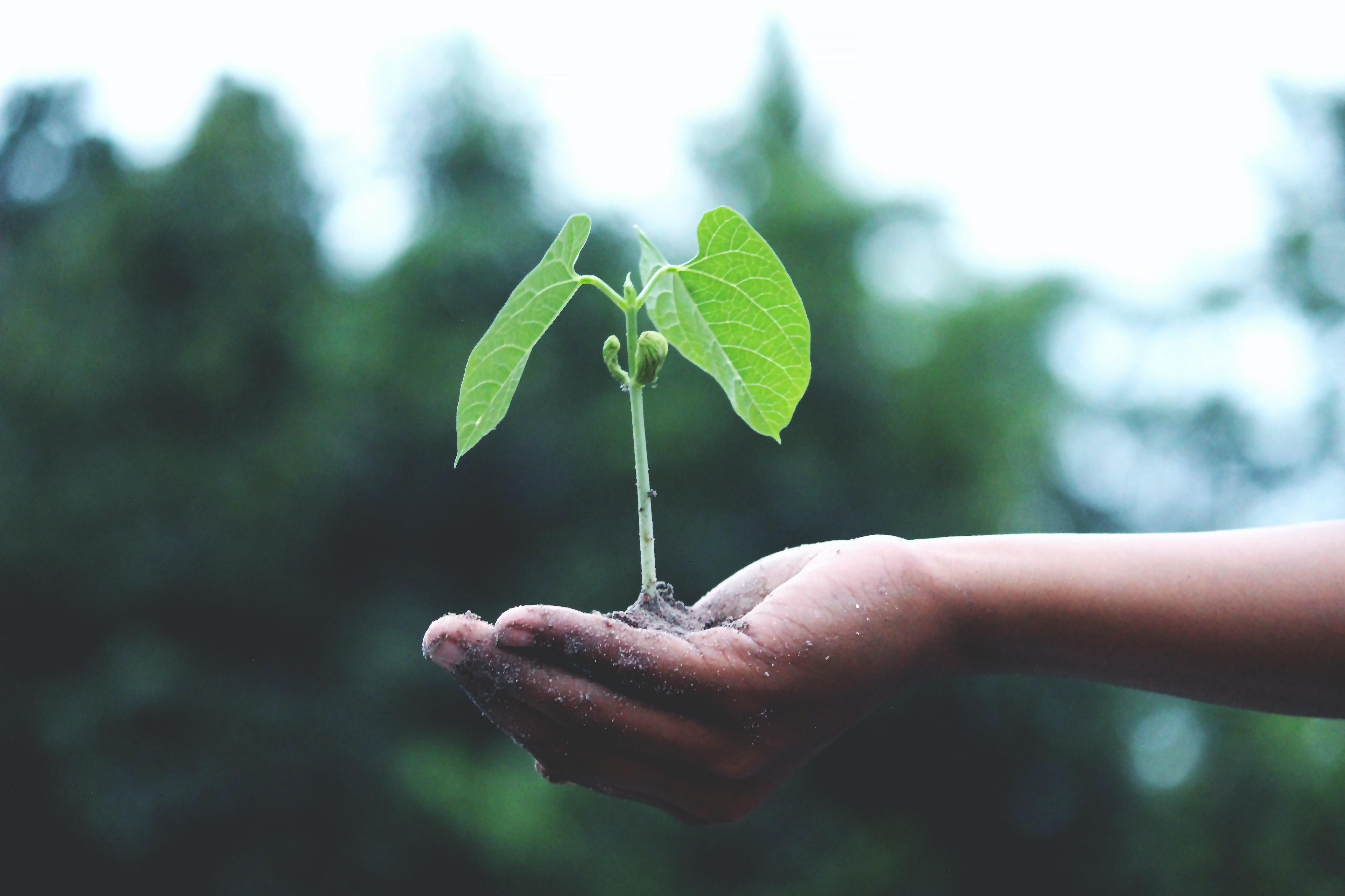 The Best Sustainable Eco Friendly Products - Defiance Gear Co.