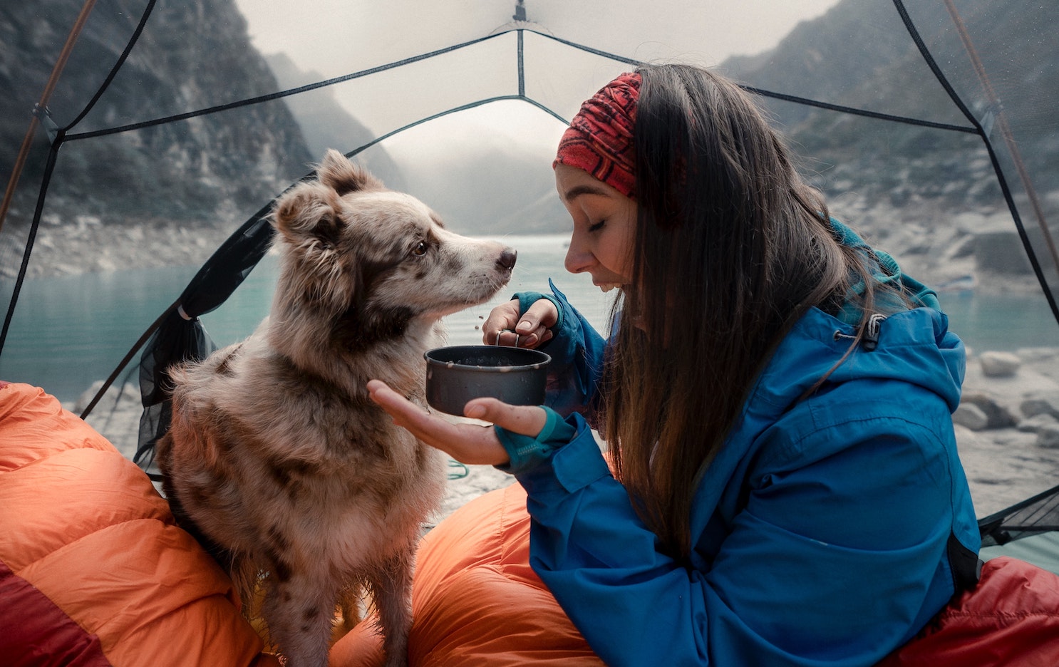 Defiance Outdoor Gear Company | Shop Camping and Hiking outdoor and Eco Friendly Gear