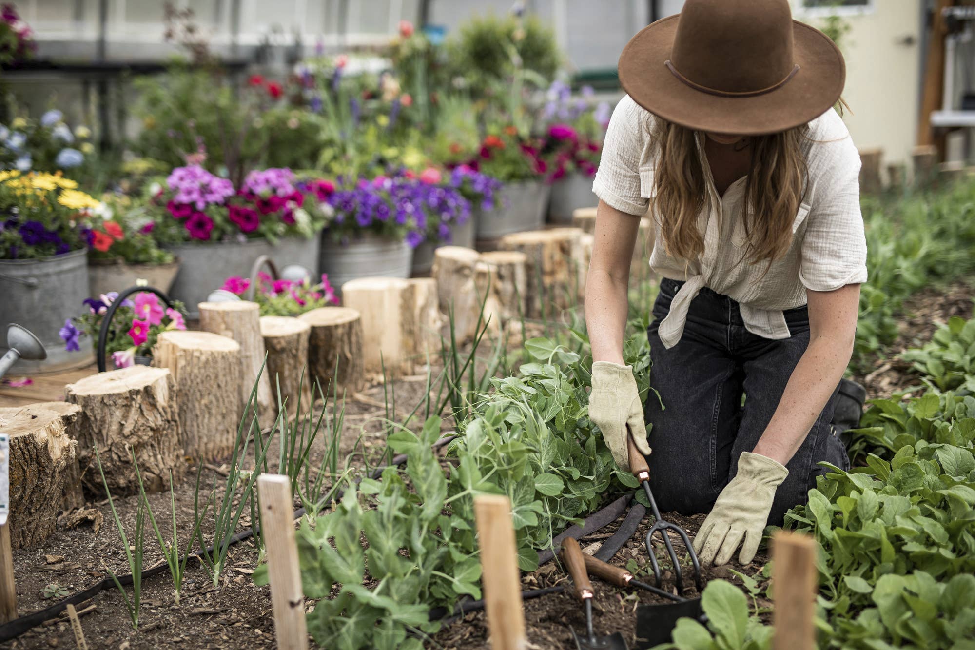 Barebones | Gardening Walnut Cultivator, Garden, Barebones, Defiance Outdoor Gear Co.