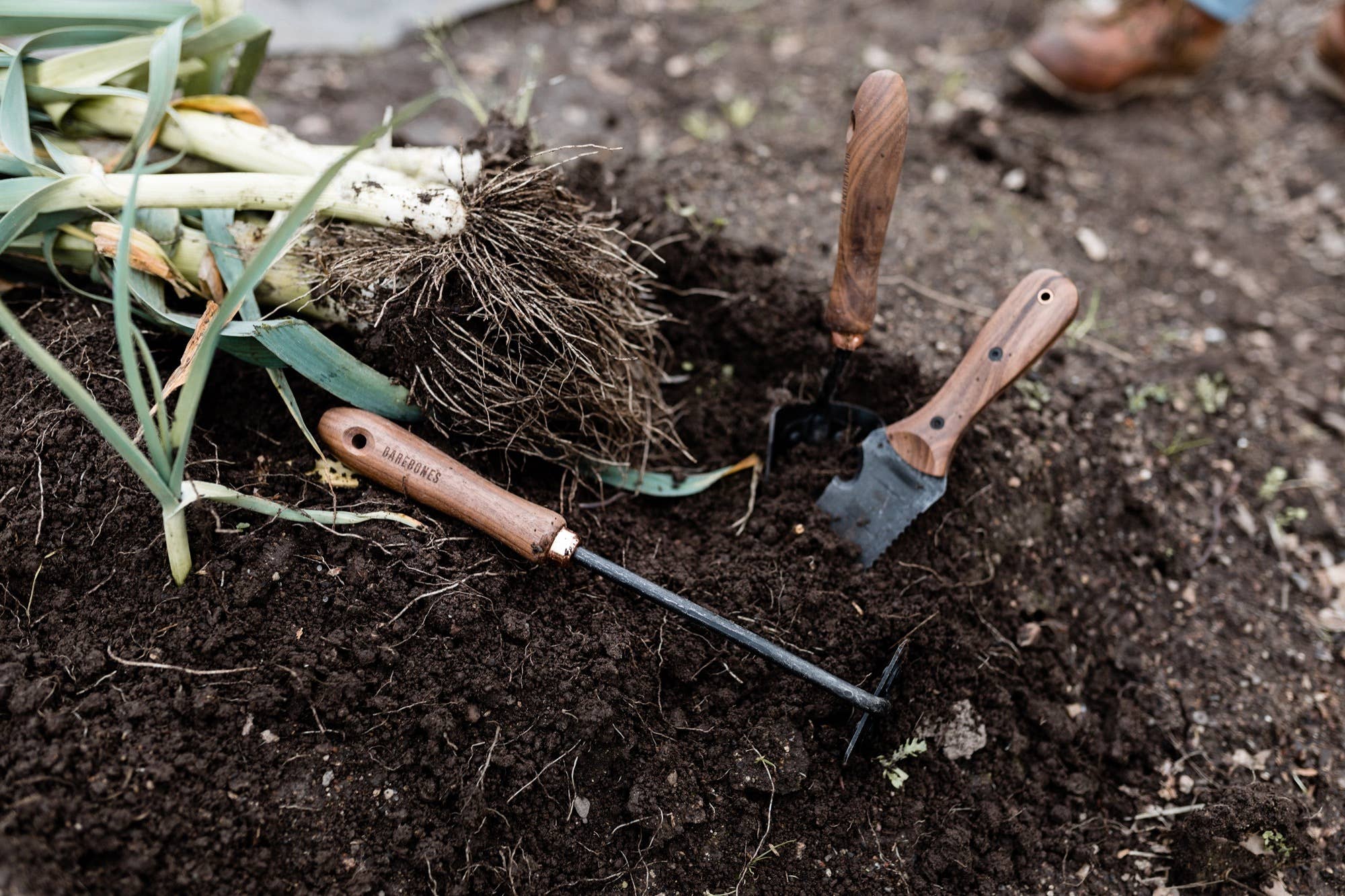 Barebones | Gardening Walnut Square Hoe, Garden, Barebones, Defiance Outdoor Gear Co.