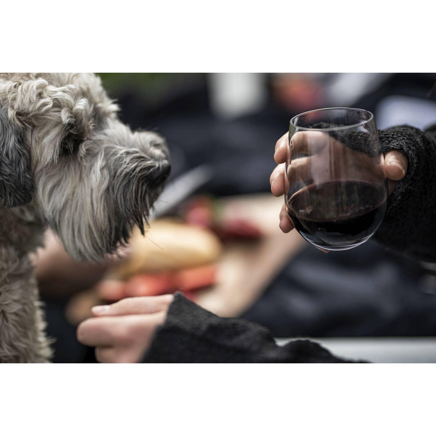 Barebones | Shatterproof Tritan Wine Travel Picnic Tumblers (Set of 2), Wine Glass, Barebones, Defiance Outdoor Gear Co.