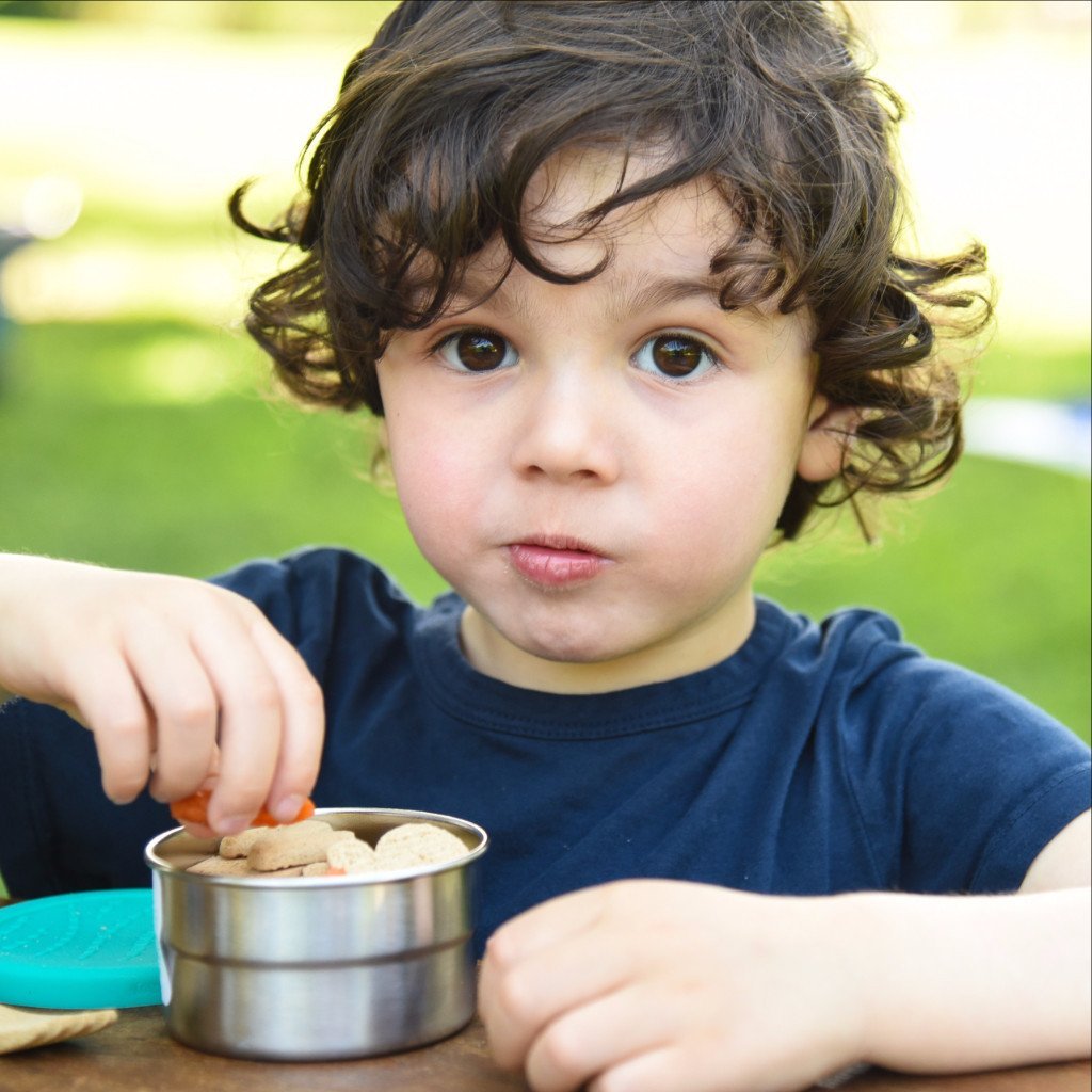 Blue Water Bento |  Leak Proof Snack / Food Storage Container, Food Container, ECOLunchbox, Defiance Outdoor Gear Co.