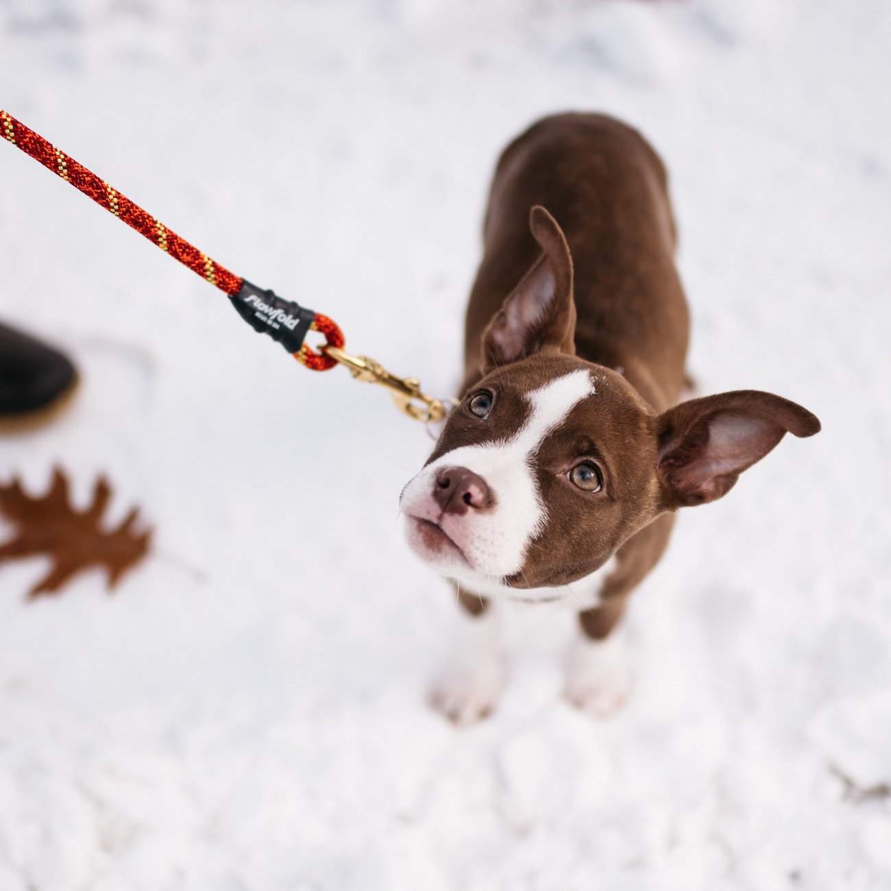 Flowfold | Dog Leash - Recycled Climbing Rope - 6ft, Dog Leash, Flowfold, Defiance Outdoor Gear Co.