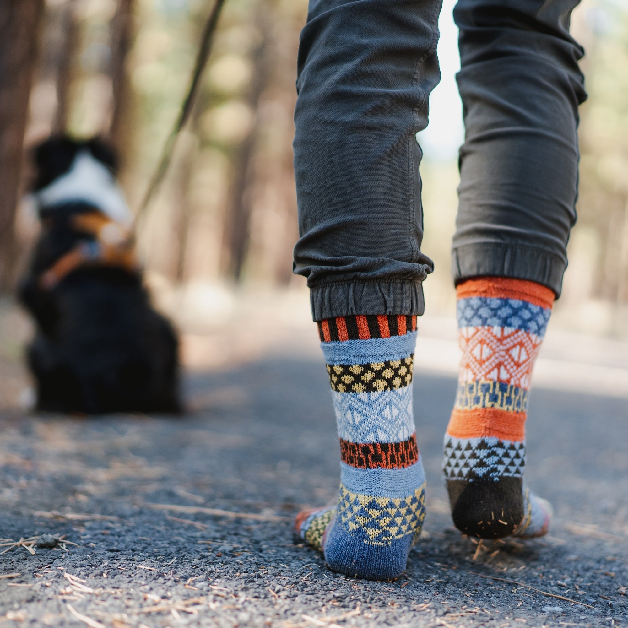 Solmate | Adult Wool Blend Crew Socks - Ponderosa, Socks, Solmate, Defiance Outdoor Gear Co.